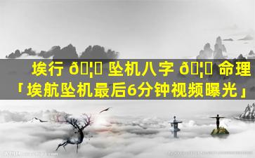 埃行 🦁 坠机八字 🦋 命理「埃航坠机最后6分钟视频曝光」